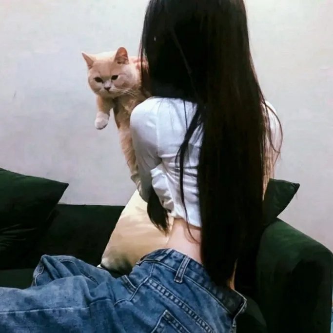 铁火雄风